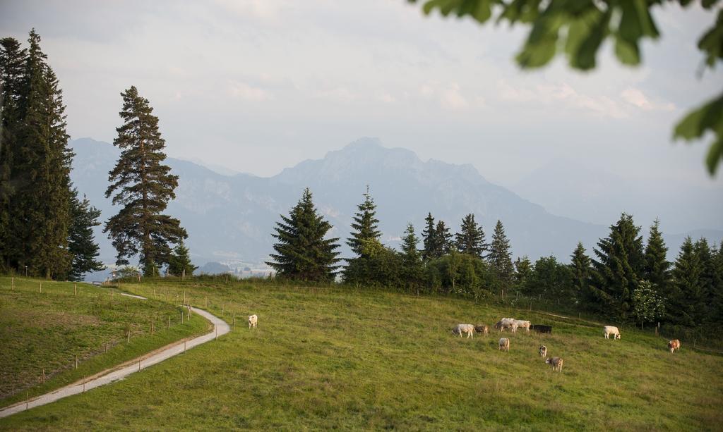 Panoramagasthof Auf Dem Auerberg Bernbeuren Eksteriør bilde