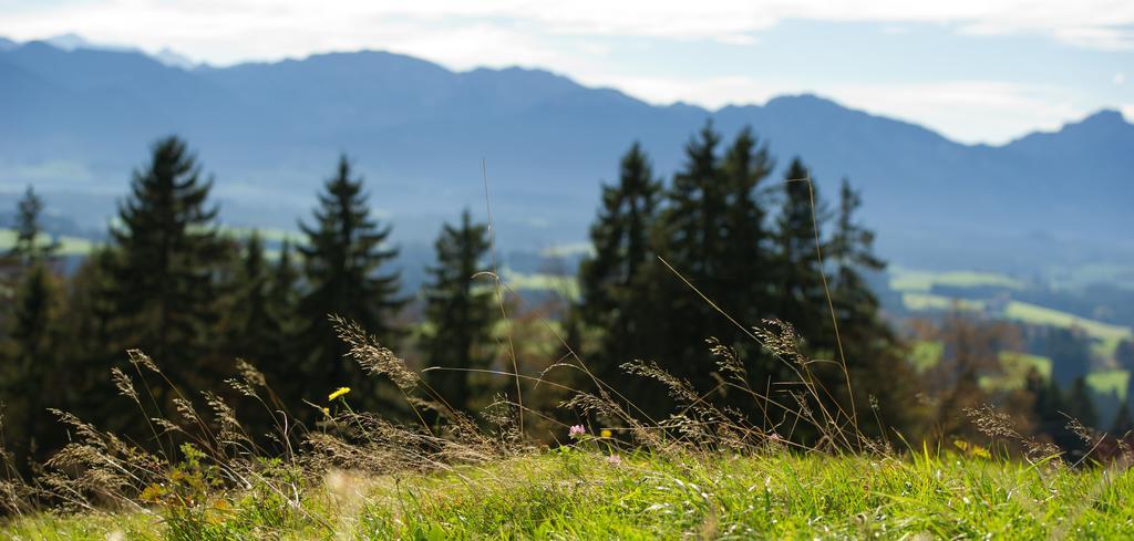 Panoramagasthof Auf Dem Auerberg Bernbeuren Eksteriør bilde